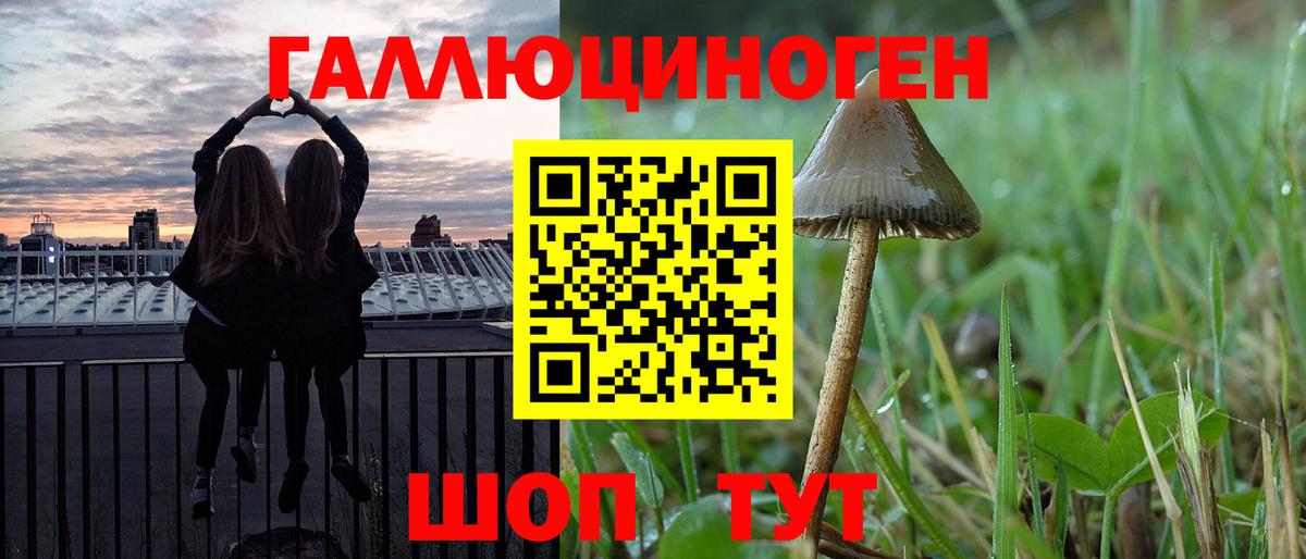 Псилоцибиновые грибы Psilocybe  Вход с VPN  Псилоцибиновые грибы Psilocybe  Пушкино 