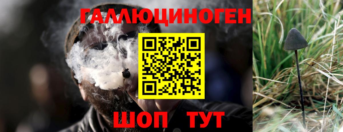 Псилоцибиновые грибы мицелий Пушкино